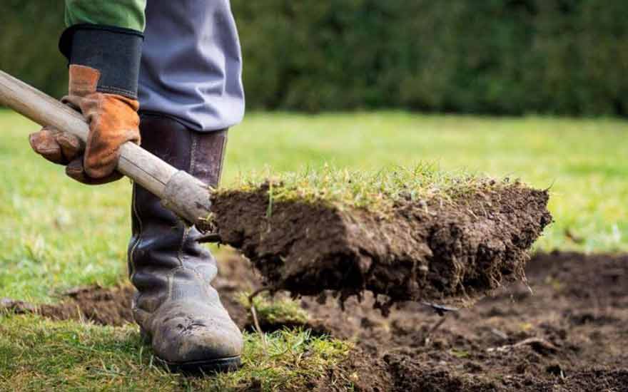 ¿Cómo cavar tu jardín?