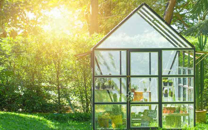 ¿Cómo elegir un invernadero para tu jardín?